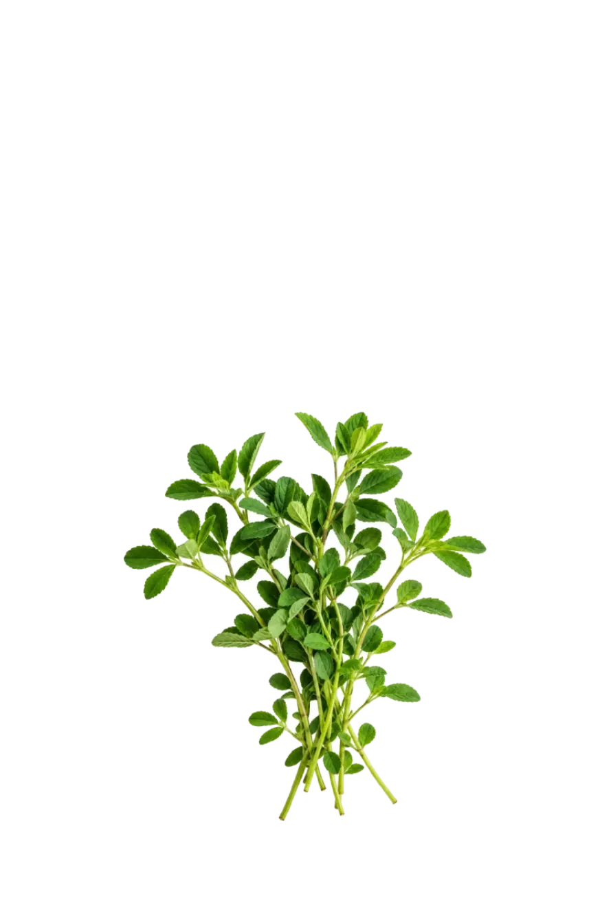 METHI