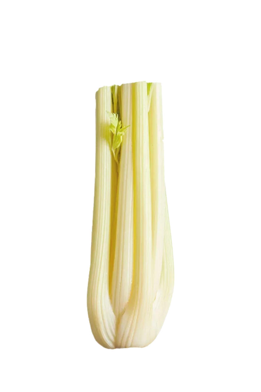 APIO BLANCO