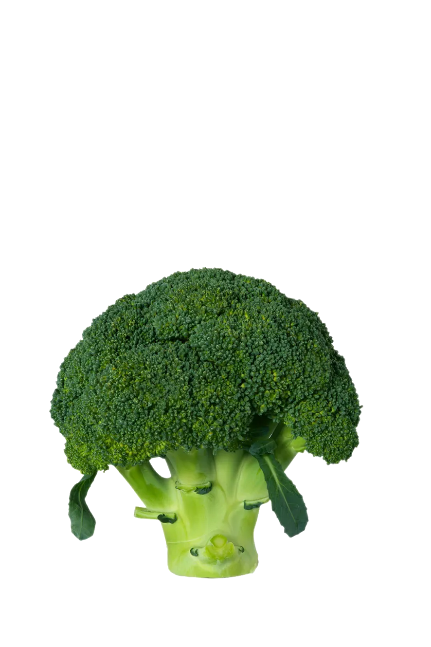 BROCOLI