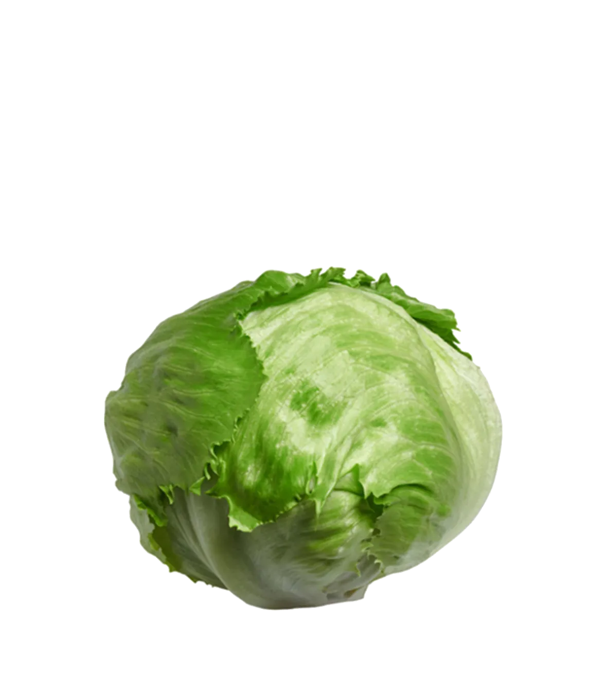 ICEBERG